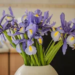 Apartman Lovmar